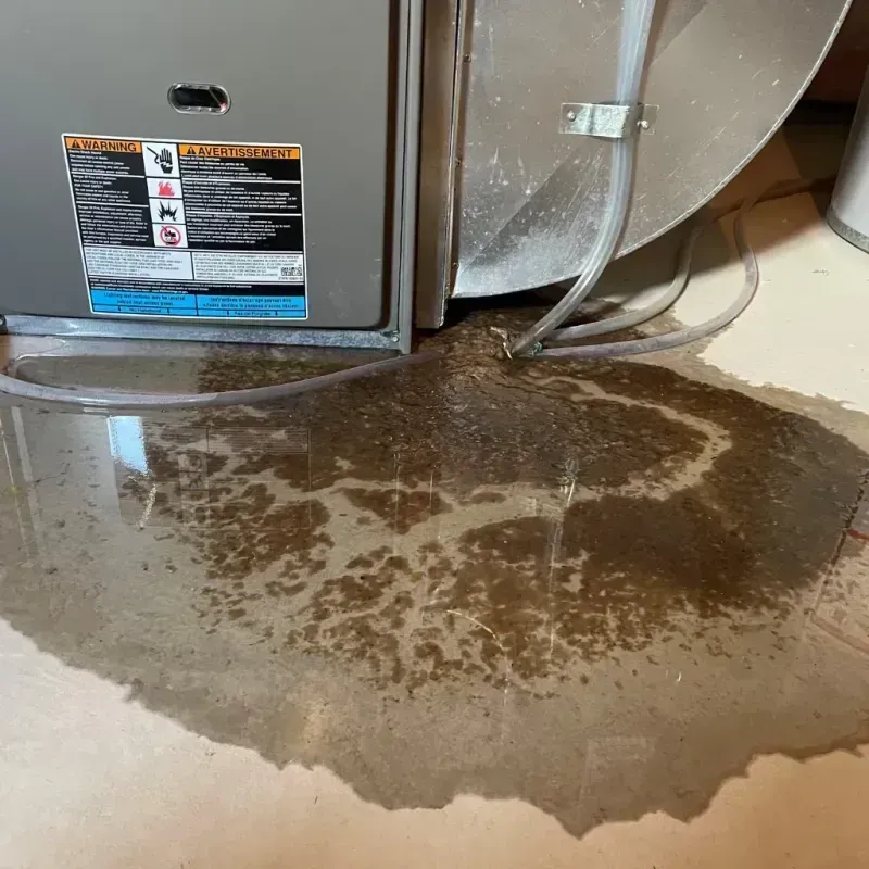 Appliance Leak Cleanup in DeKalb County, TN